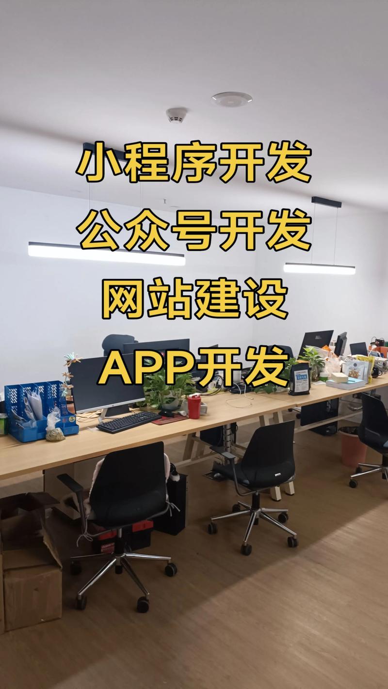 探索创新之道：洛阳软件开发行业新视角